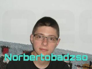Norbertobadzso