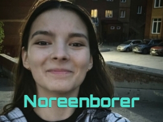 Noreenborer