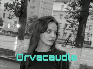 Orvacaudle