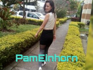 PamEinhorn