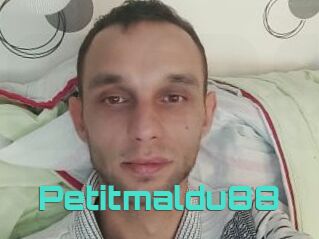 Petitmaldu88