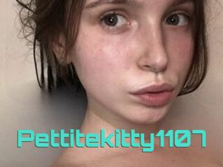 Pettitekitty1107