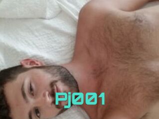 Pj001