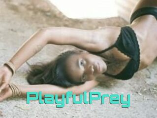 PlayfulPrey