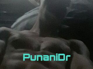 PunaniDr
