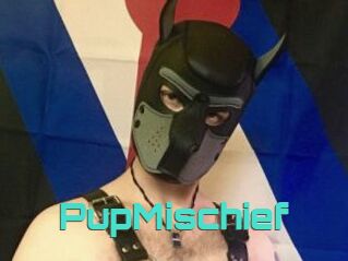 PupMischief