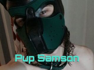Pup_Samson
