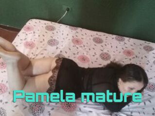 Pamela_mature
