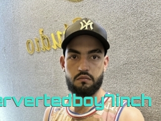Pervertedboy7inch