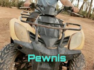 Pewnis