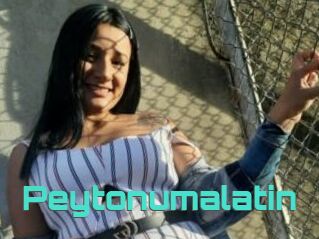 Peytonumalatin