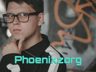 Phoenixzorg