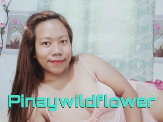 Pinaywildflower