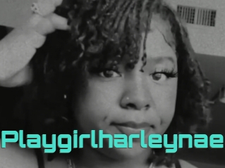 Playgirlharleynae
