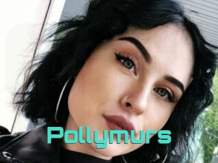 Pollymurs