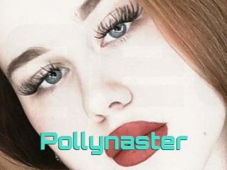 Pollynaster