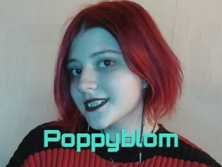Poppyblom