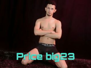 Price_big23