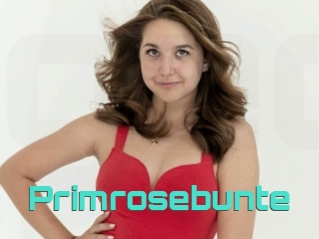 Primrosebunte