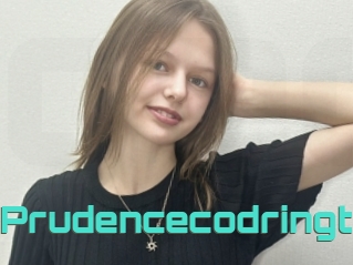 Prudencecodringt