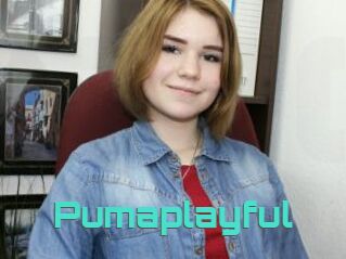 Pumaplayful