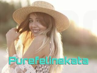 Purefelinekata
