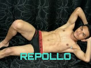REPOLLO