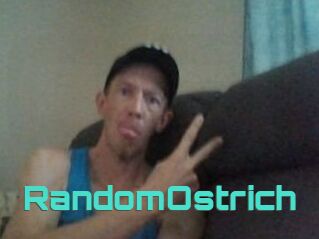 RandomOstrich