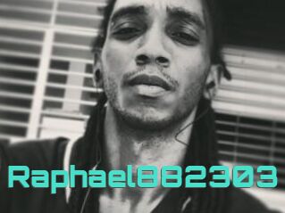 Raphael882303
