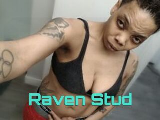 Raven_Stud