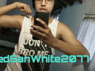 RedSanWhite2077