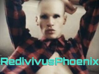 RedivivusPhoenix