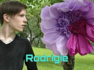 Rodrigie