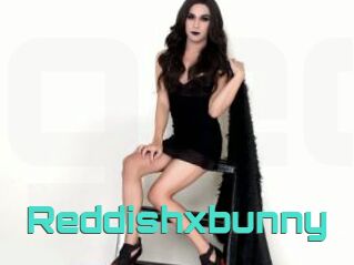 Reddishxbunny