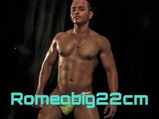 Romeobig22cm