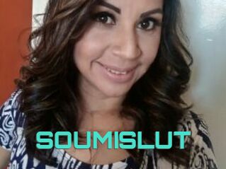 SOUMISLUT
