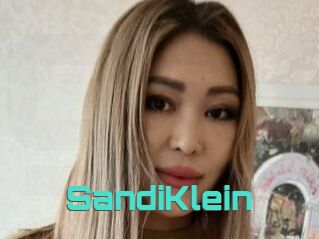 SandiKlein