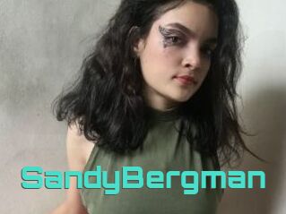 SandyBergman