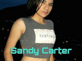 Sandy_Carter