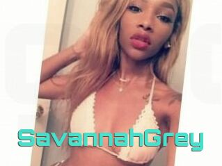 Savannah_Grey