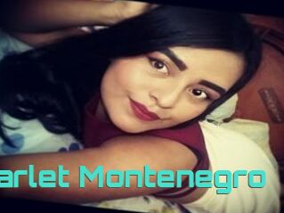 Scarlet_Montenegro