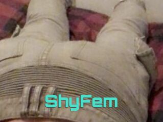 ShyFem
