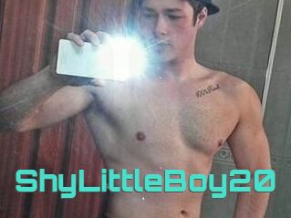 ShyLittleBoy20
