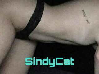 SindyCat