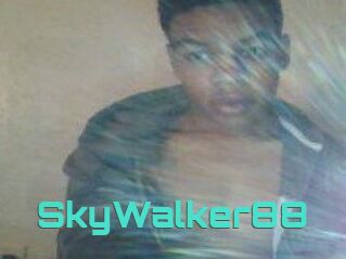 SkyWalker88