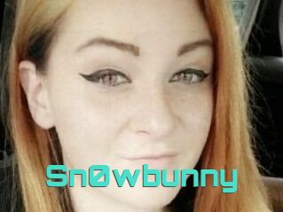 Sn0wbunny
