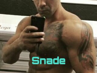 Snade