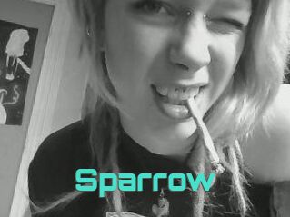 Sparrow