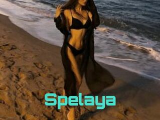 Spelaya