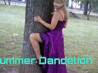 Summer_Dandelion